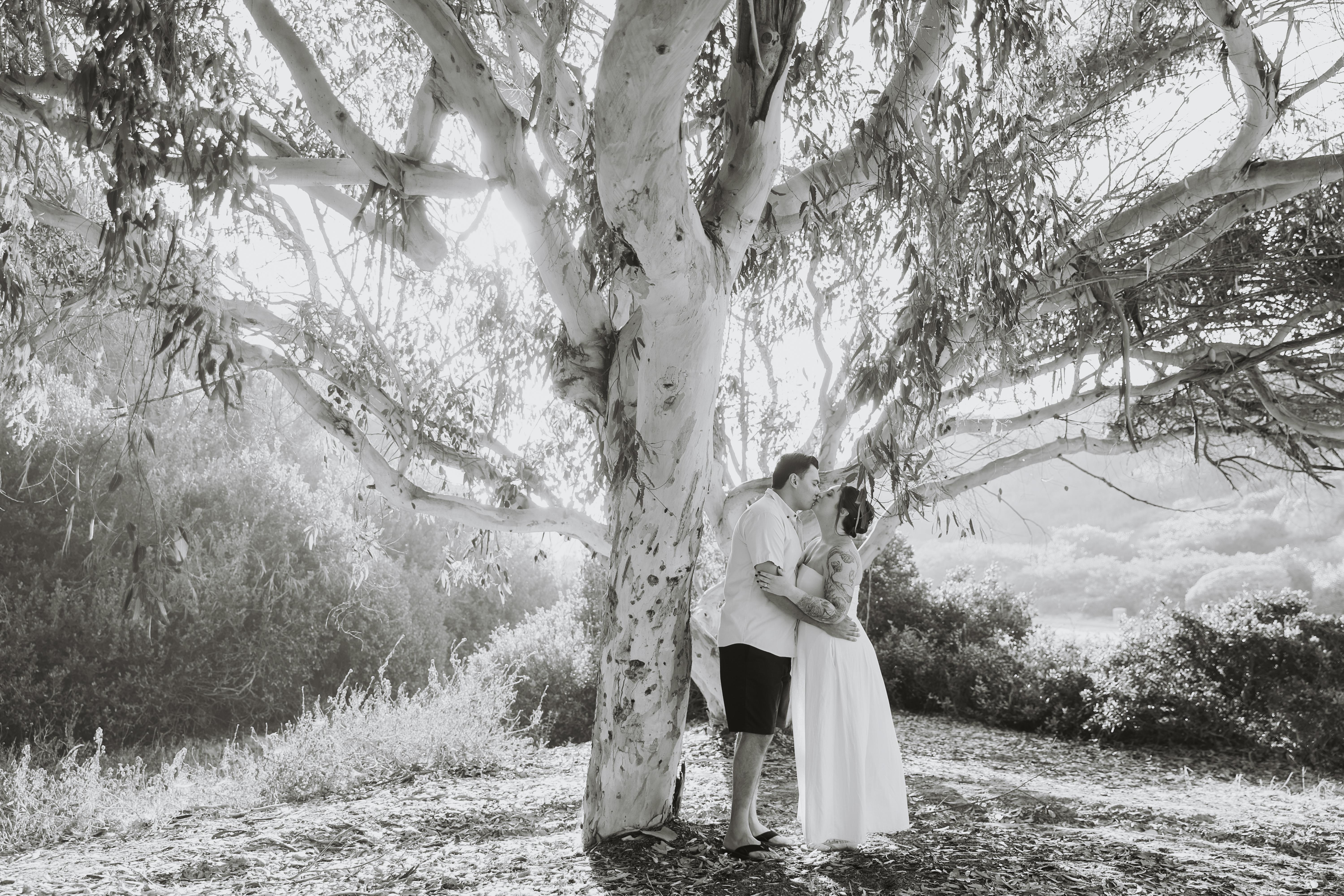 The Wedding Website of Olivia Cartelli-Estep and Jordan Moezidis