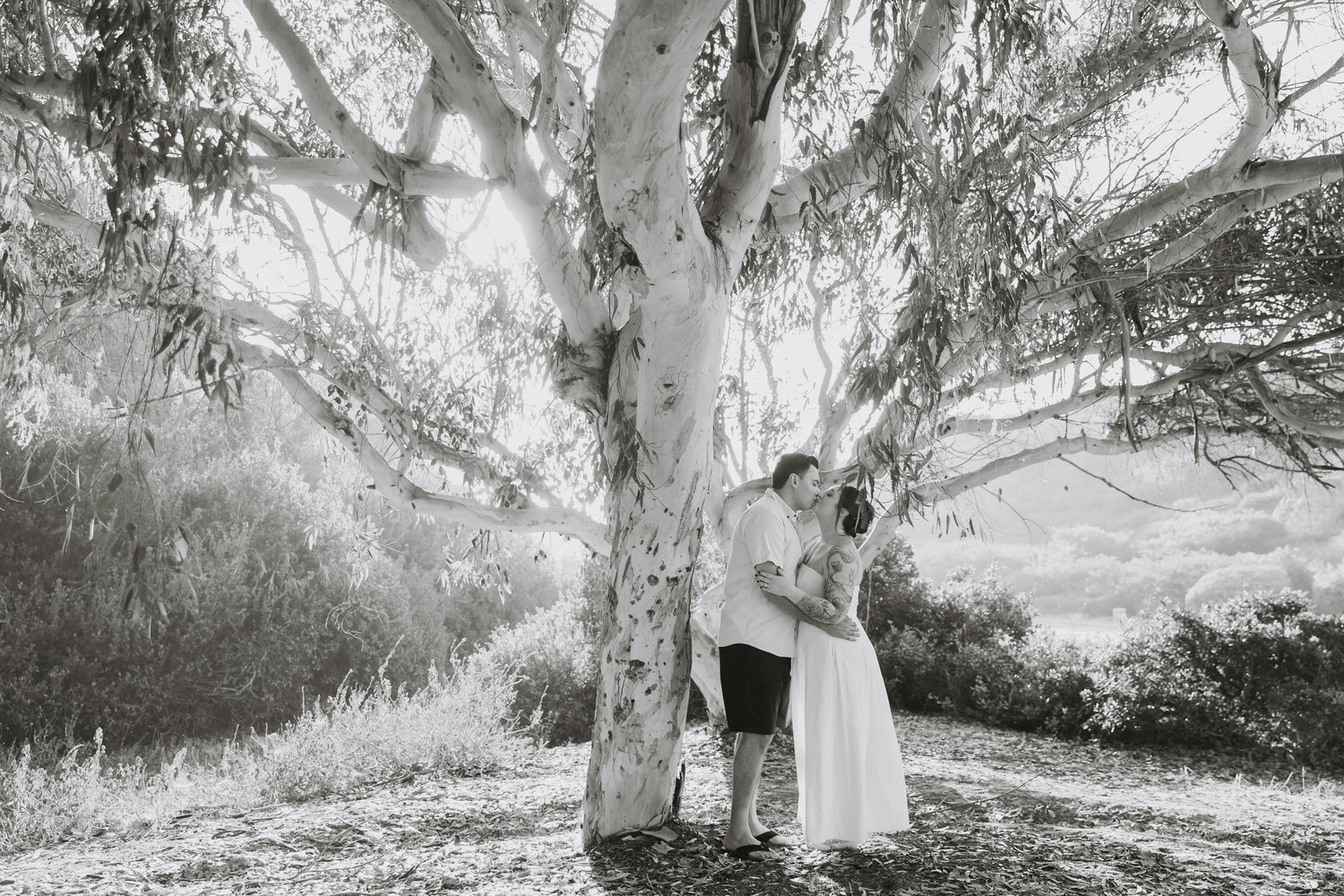 The Wedding Website of Olivia Cartelli-Estep and Jordan Moezidis