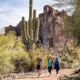 Hiking