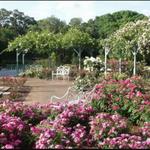 Harry P Leu Gardens