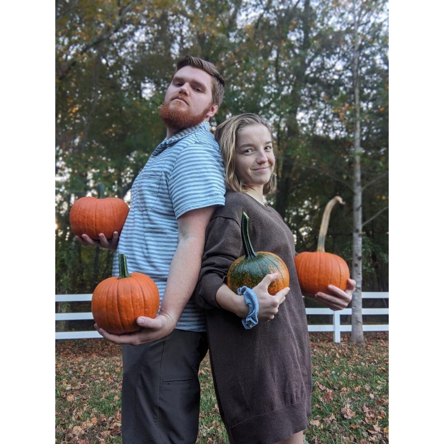 We went to the pumpkin patch and got baby pumpkins!