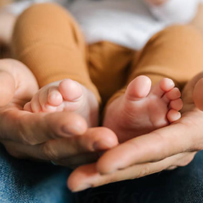 Fund our Adoption