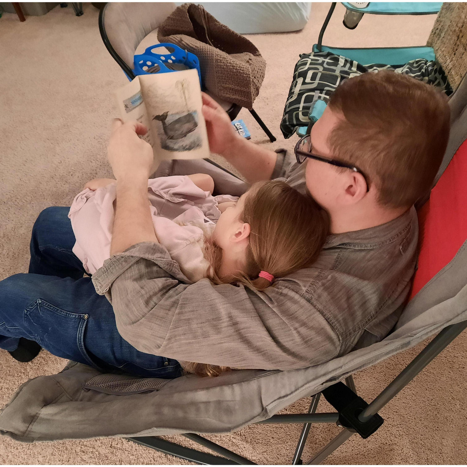 A warm lap and a book