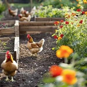 Garden & Animal Fund