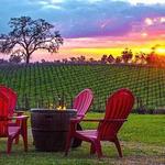 Bokisch Vineyards Tasting Room