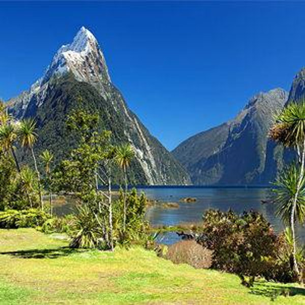 Honeymoon to New Zealand