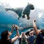 Pittsburgh Zoo & PPG Aquarium