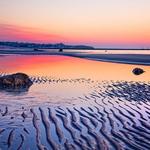 Cold Storage Beach