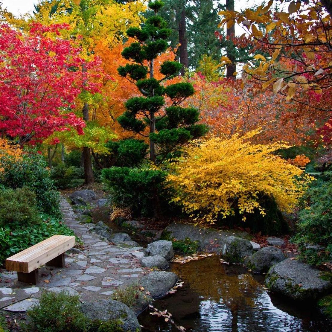 Lithia Park in Ashland has beautiful trails and sites to see in town.