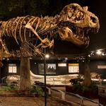 Museum of the Rockies