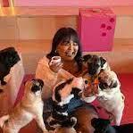 CuppaPug