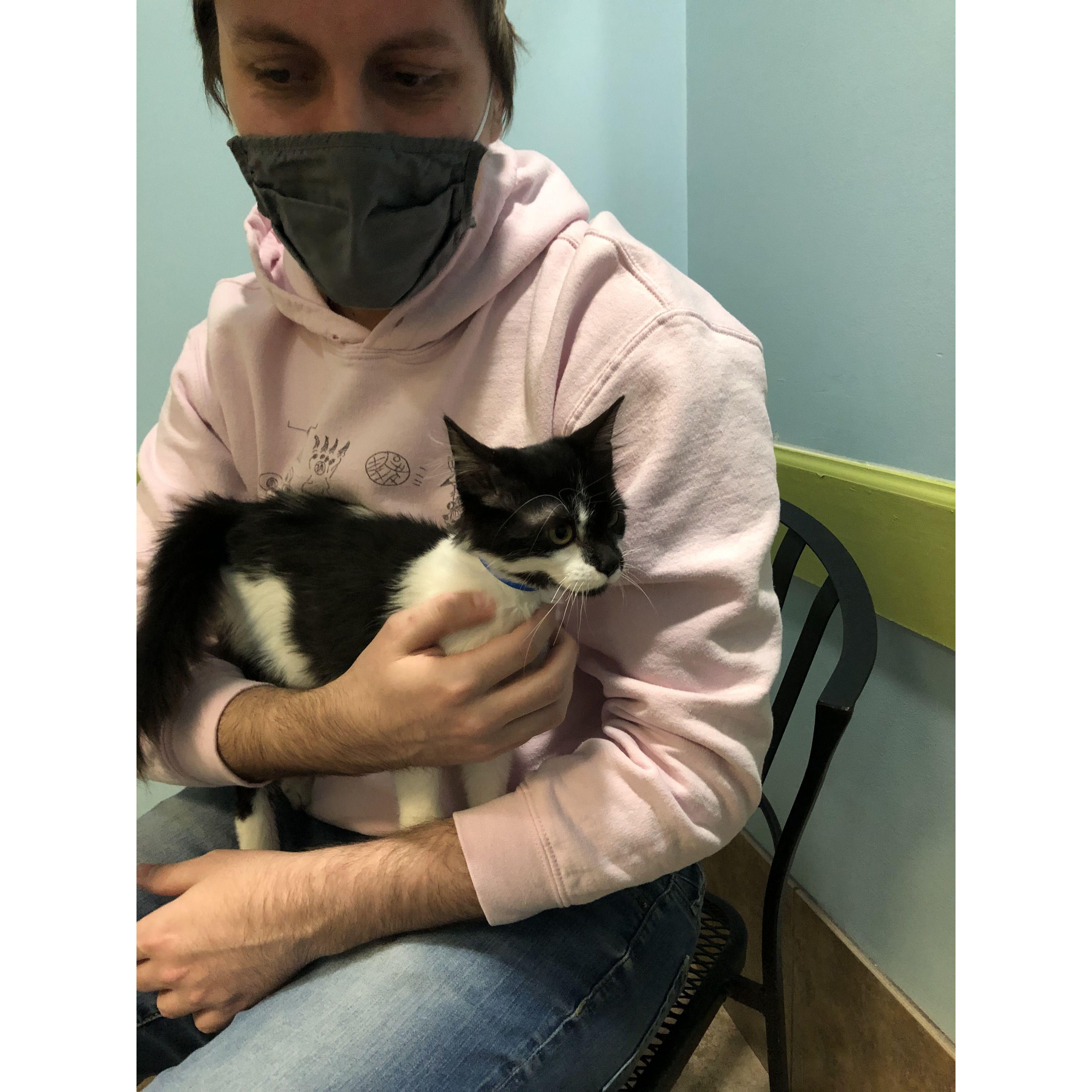 December 2020: We adopted our first cat, Bruce!