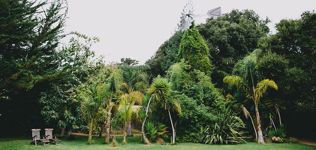The Wedding Website of Randi Krueger and Daniel Mullany
