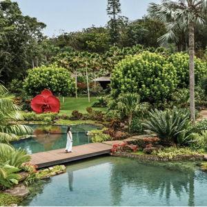 Sensei Lānaʻi Experience