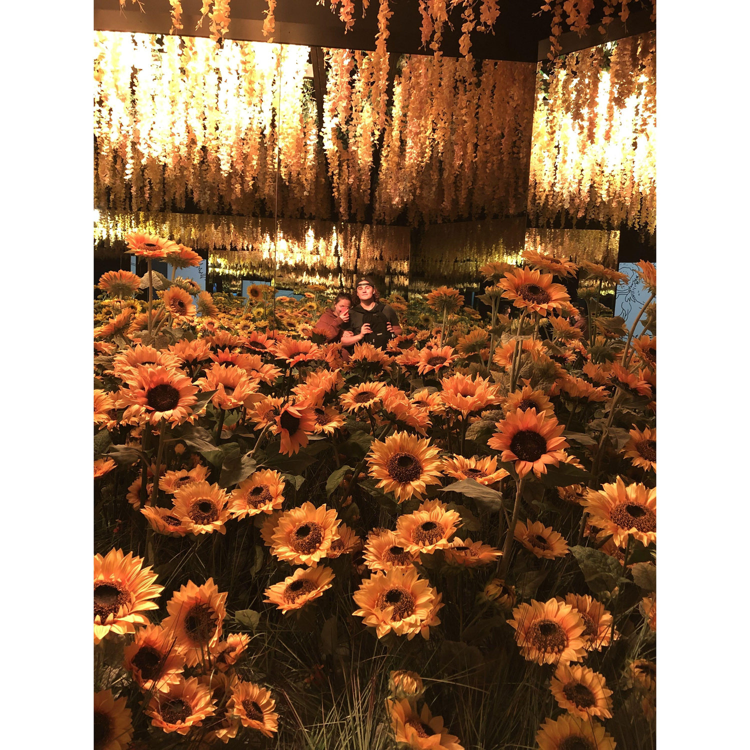 The end of the Van Gogh Exhibit in Indianapolis.