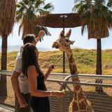 The Living Desert Zoo and Gardens