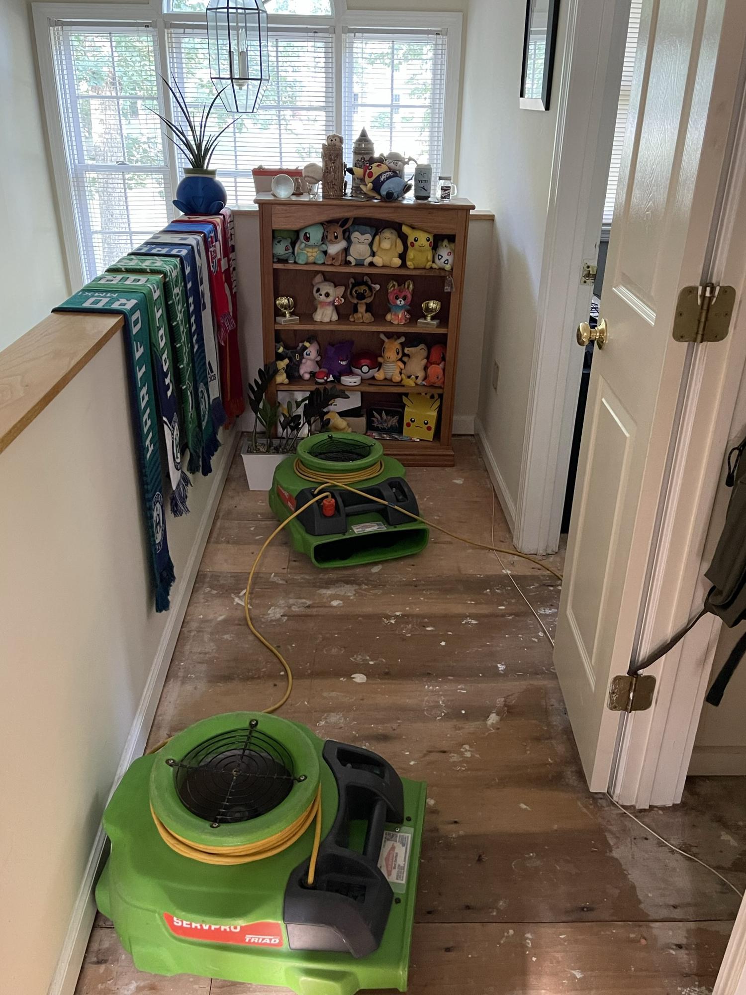 ServPro immediately ripped out the carpet. Green machines are for drying