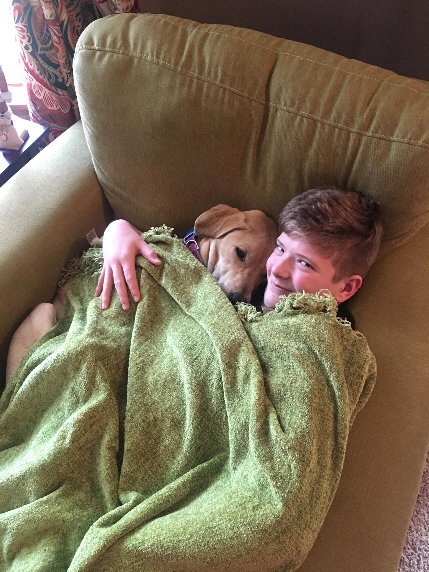 Everyone loves Phoebe cuddles