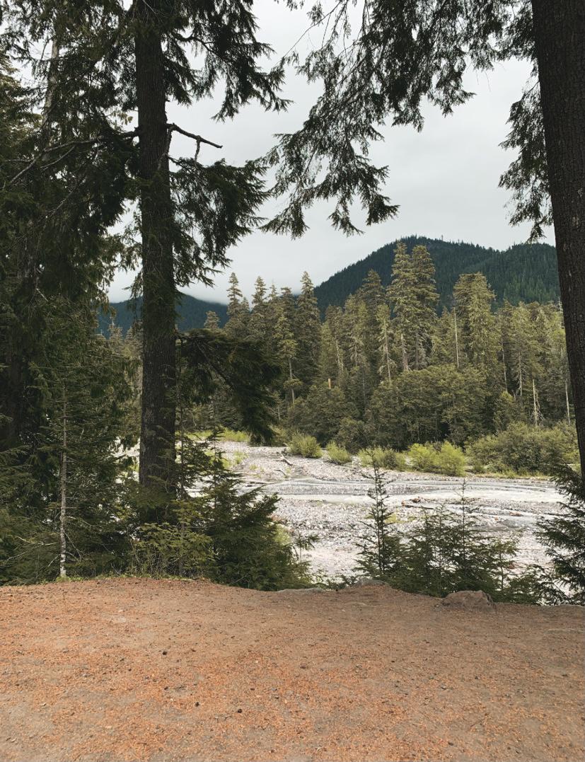 Mt Rainier National Park