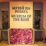 Museum of the Rose