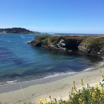 Mendocino