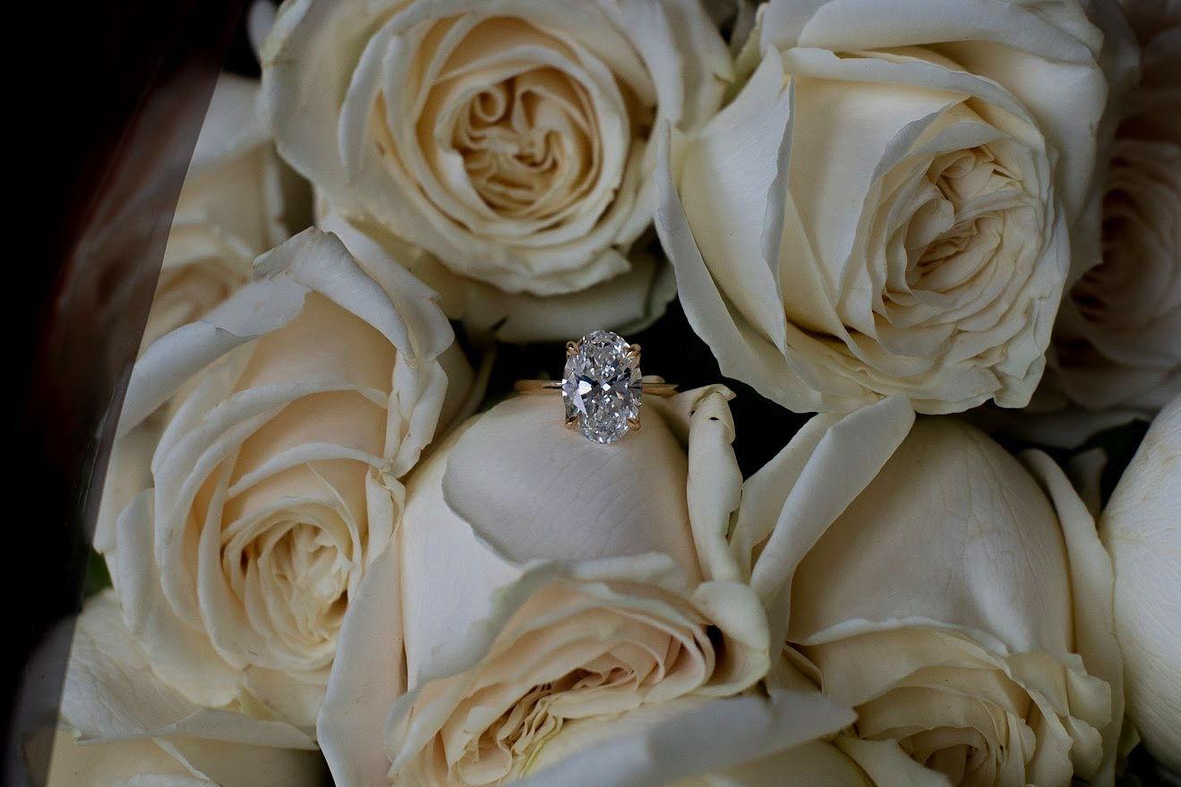 The Wedding Website of Molly Hardin and Steven Beck