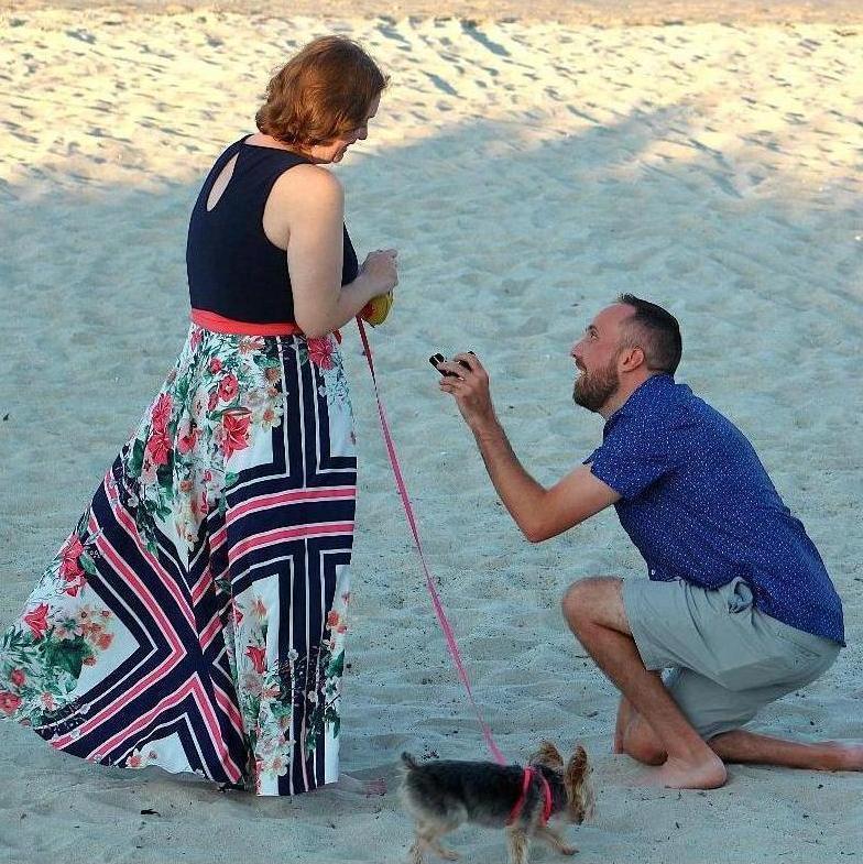 The proposal 8/17/2024