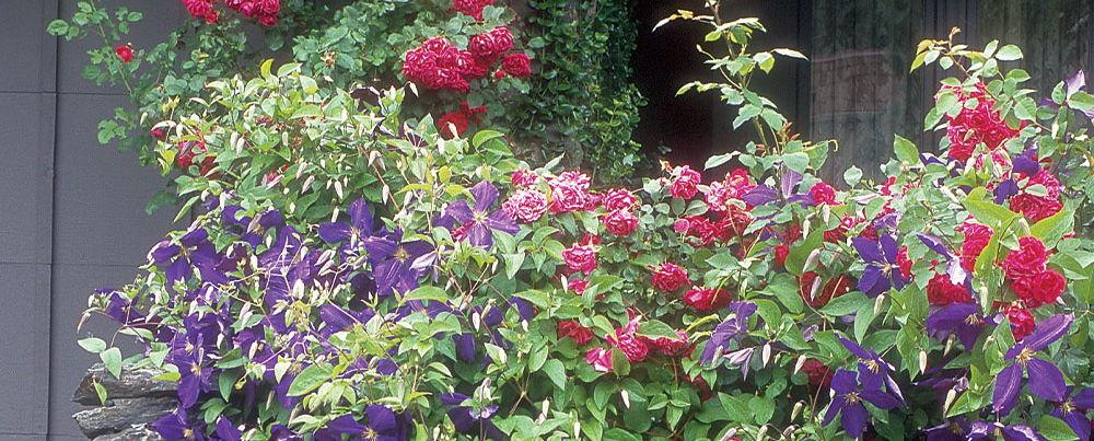 c8de410b-8121-4c90-afee-743580501dc3