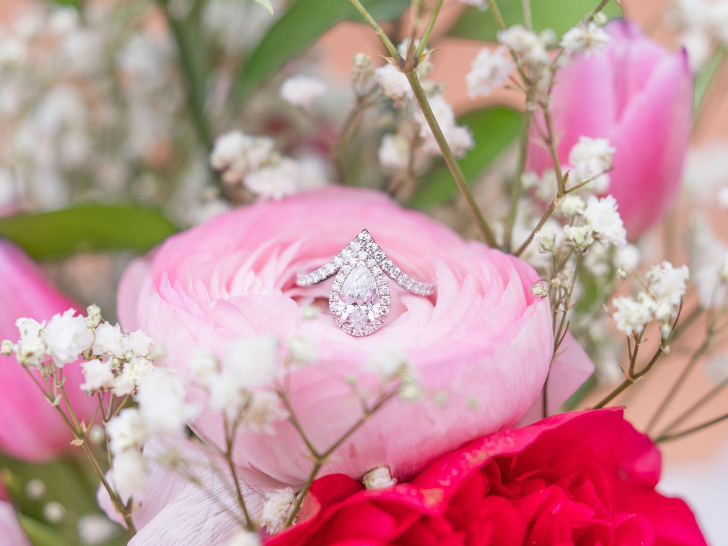 The Wedding Website of Joseph Wilwerding and Moriah Wilwerding