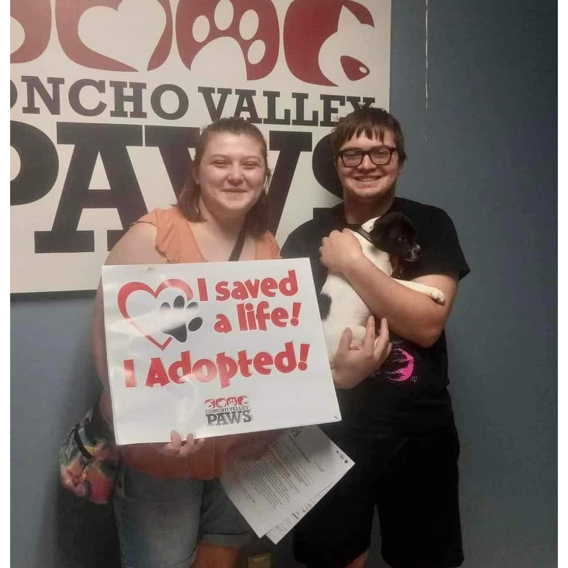 When we adopted Daisy Dot