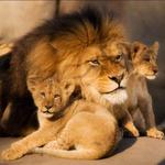 Oregon Zoo