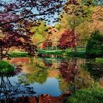 Gibb's Gardens