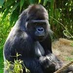 Santa Barbara Zoo
