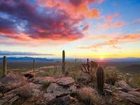 Arizona-Sonora Desert Museum