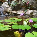 Sunken Gardens