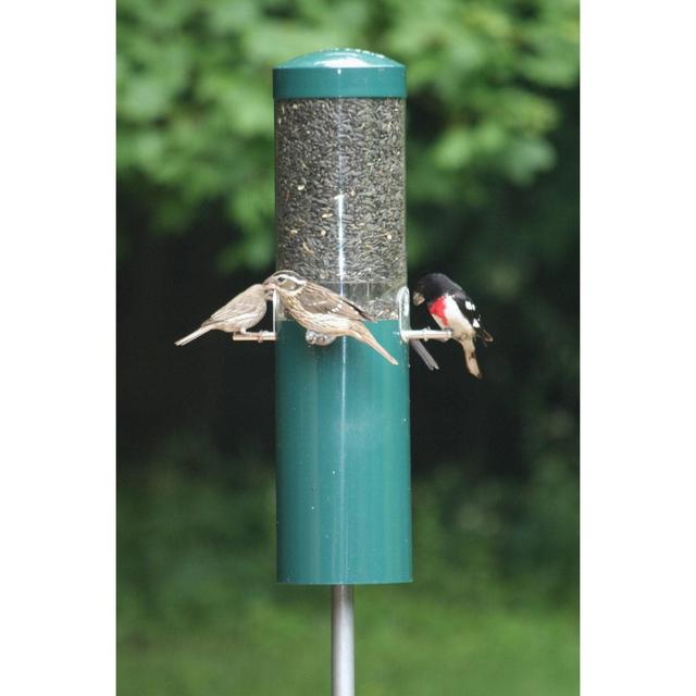 Birds Choice Squirrel Proof Classic Bird Feeder with Pole and Squirrel Baffle – Green