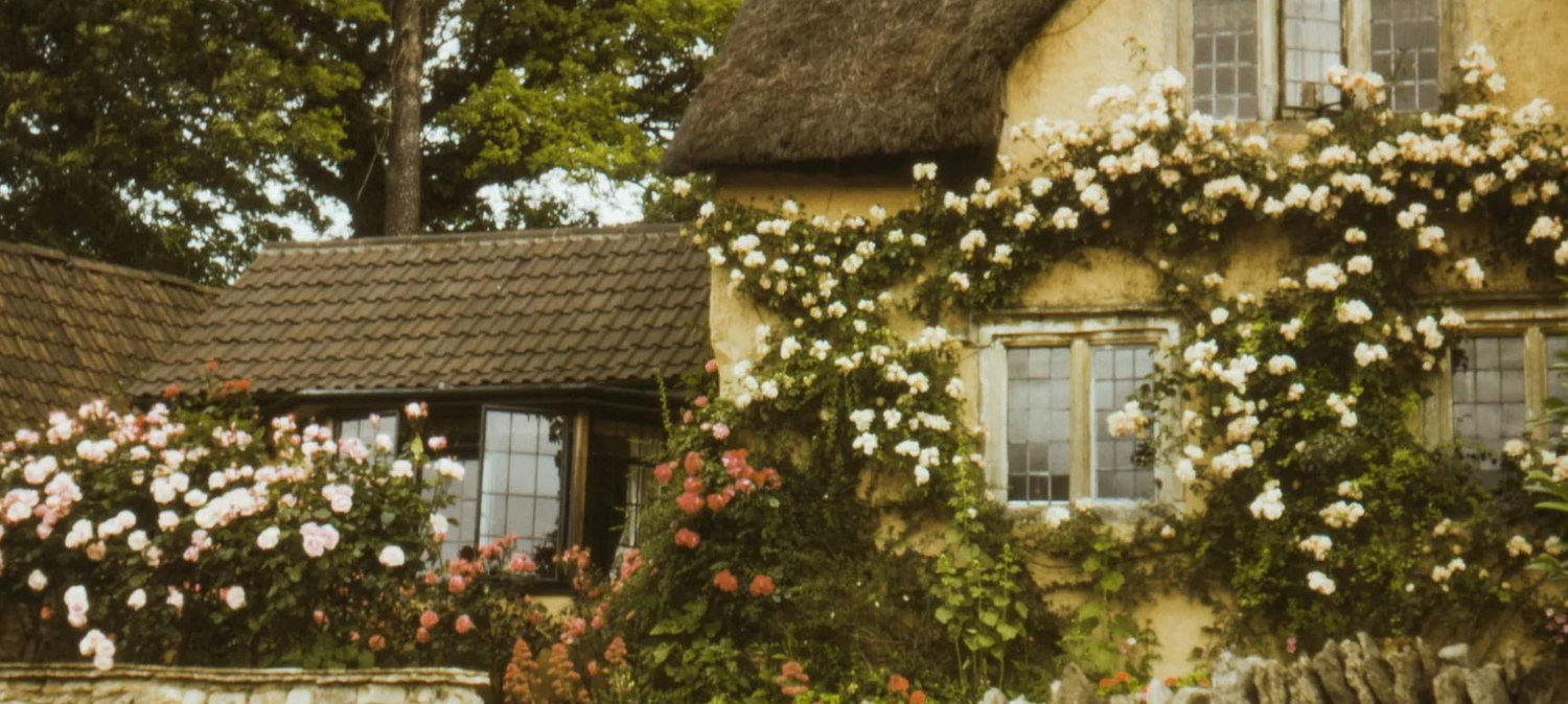 The Wedding Website of Sheila Longoria and Isaac Hunter