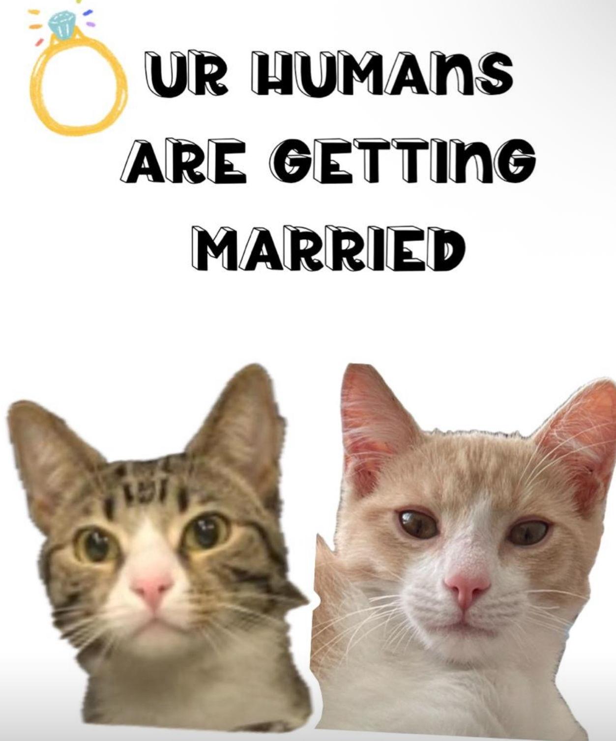 The Wedding Website of Priscilla Suzal-Wright and Simon Henao