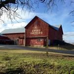 Angry Orchard Cider House