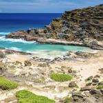 Halona Beach Cove