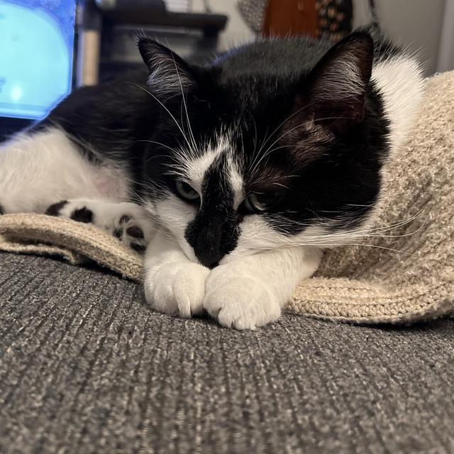 Creed’s College Fund