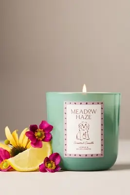 Papier x Anthropologie Fresh Meadow Haze Doodle Glass Candle