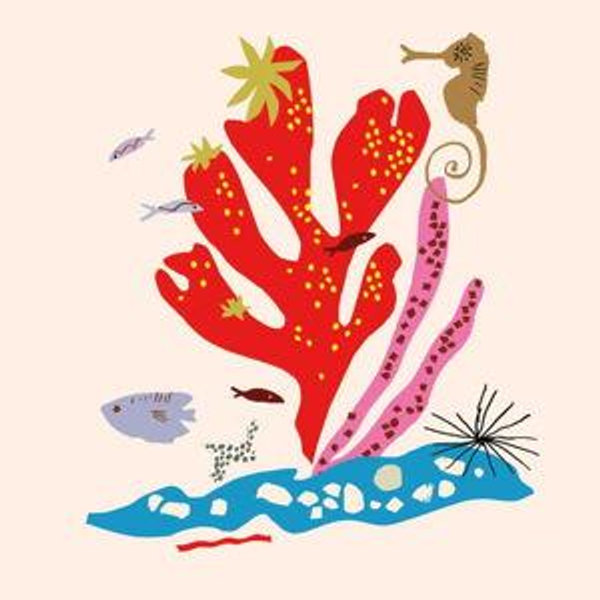Ocean Conservation Fund