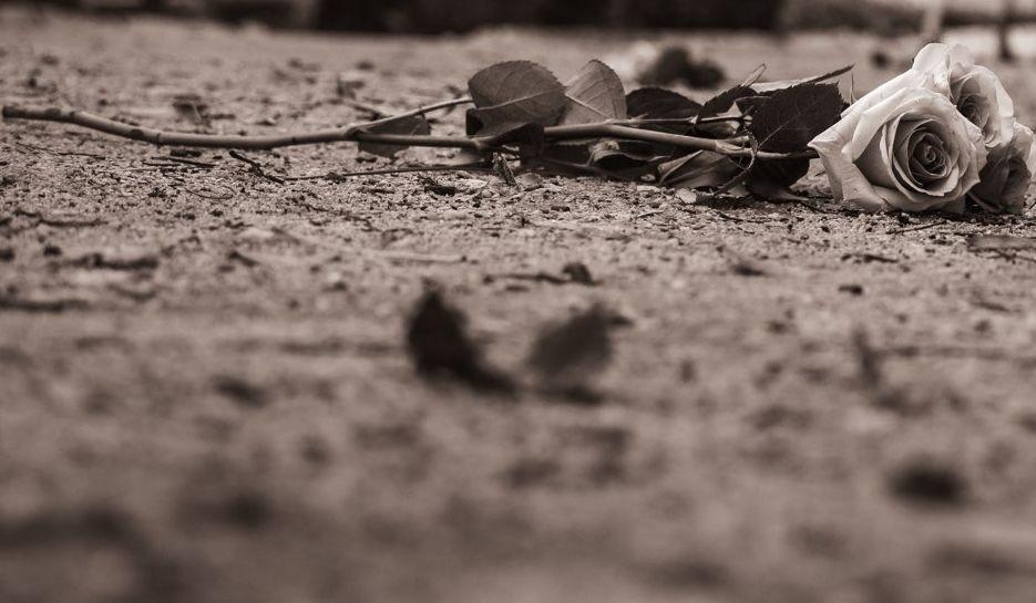 Footer image