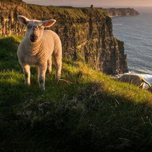 Ireland Honeymoon Fund
