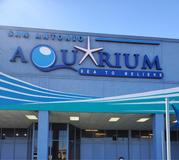 San Antonio Aquarium