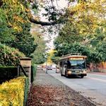 Trolley Tours