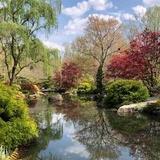 Gibbs Garden
