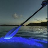 Salty Spirit Boat Charters & Bio Bay in Vieques