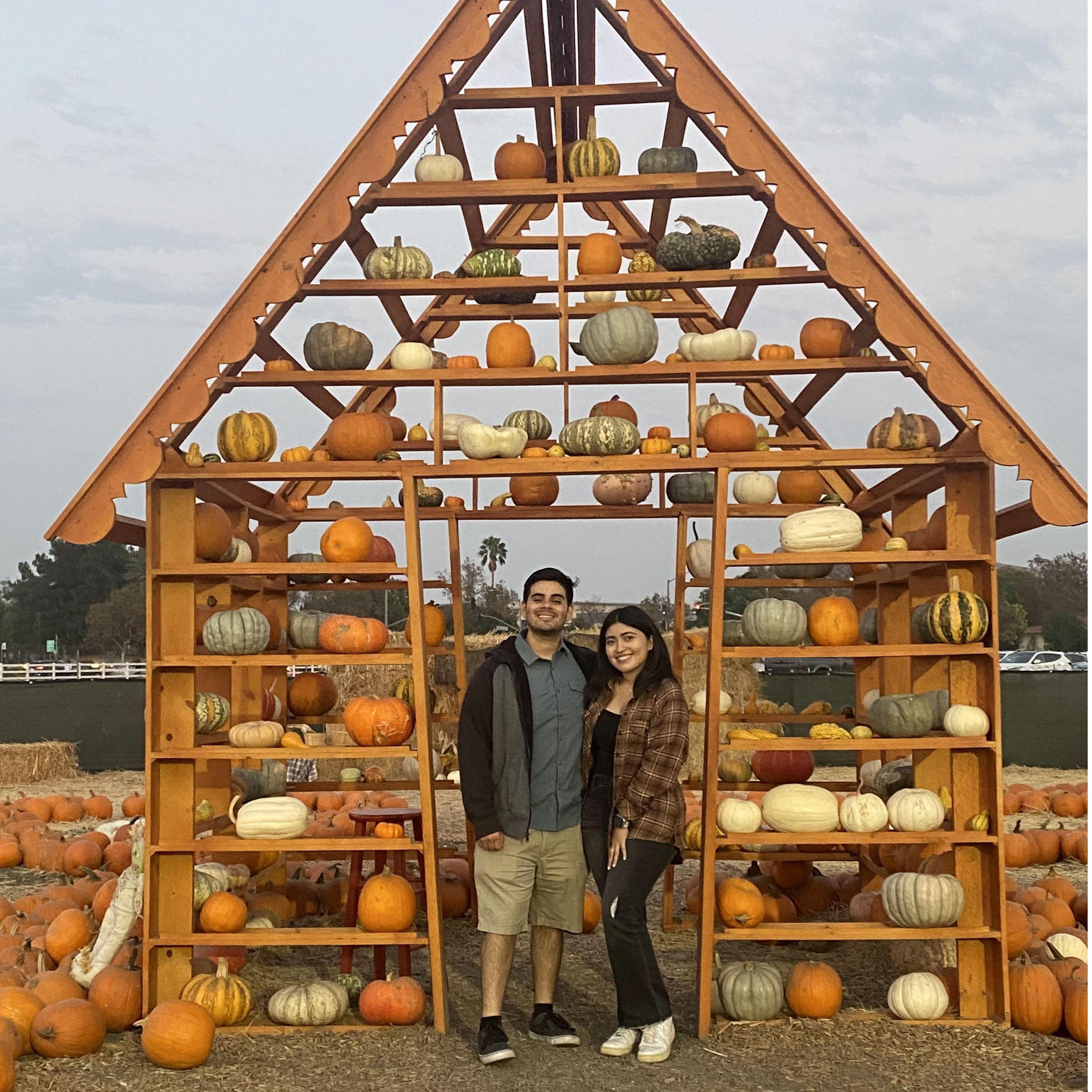 Our first pumkin patch!